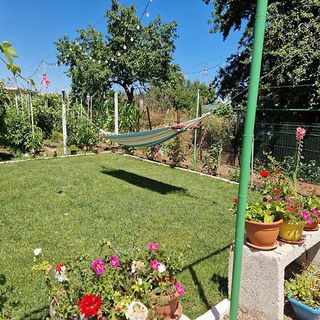 Casa Simona Hotel 2 Mai Luaran gambar