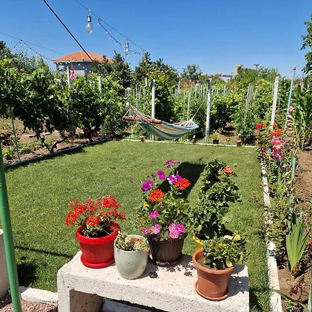 Casa Simona Hotel 2 Mai Luaran gambar