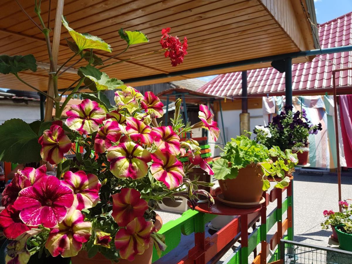 Casa Simona Hotel 2 Mai Luaran gambar