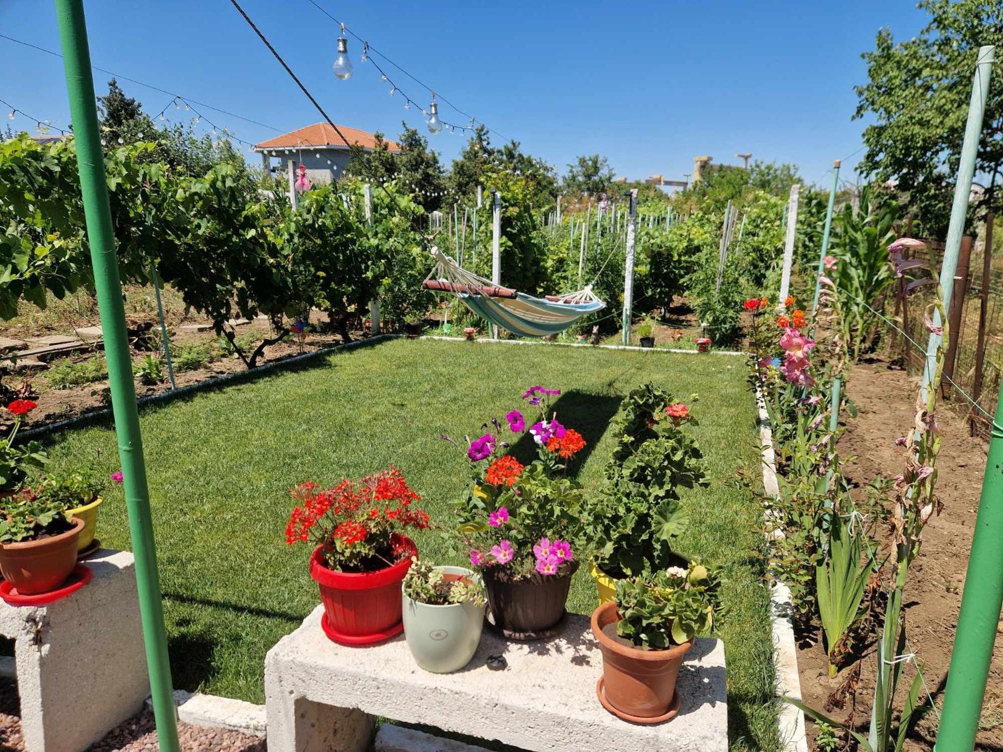 Casa Simona Hotel 2 Mai Luaran gambar